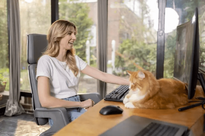 Headerbild IU Internationale Hochschule