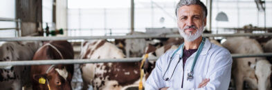 Tierarzt im Schlachthaus