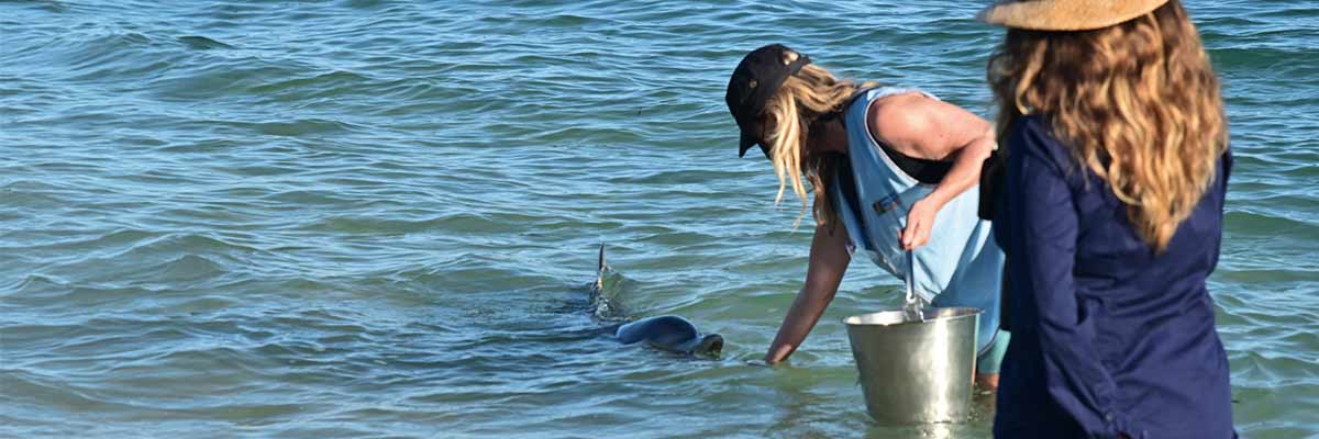 Meeresbiologin im Meer